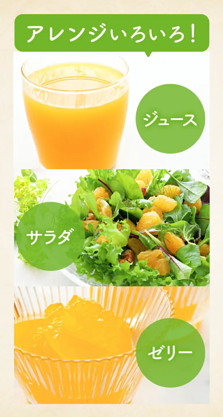 極早生みかん 5kg 高橋商店《9月下旬-10月中旬頃出荷》