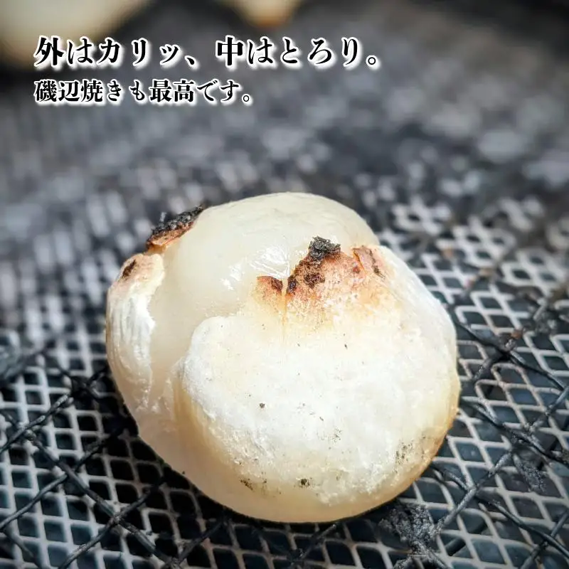 【無添加】老舗職人の杵つき生丸餅（白）約500g 