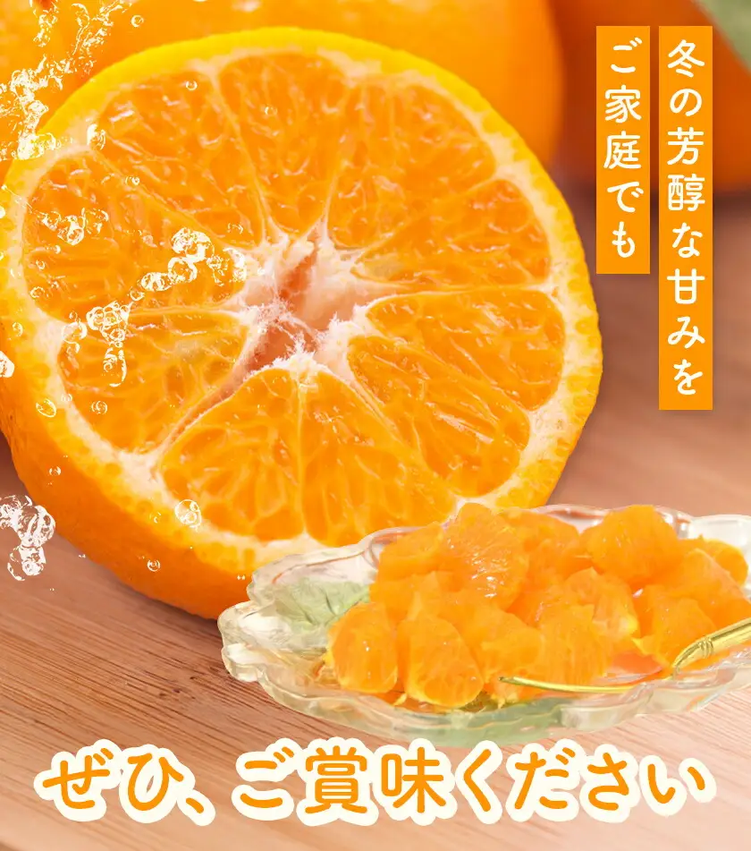ポンカン10kg 高橋商店《12月上旬-2月中旬頃出荷》