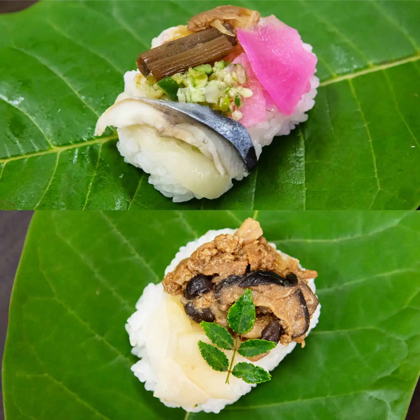 ほう葉寿司 5種8個セット（あゆ、さけ、さば 各2個／飛騨牛しぐれ煮、飛騨牛入り味噌 各1個）冷凍便 朴葉寿司 ほおば寿司 ほう葉寿司 寿司 郷土料理 飛騨牛 白川茶 岐阜県 白川町 / 一力屋[AWAE009]