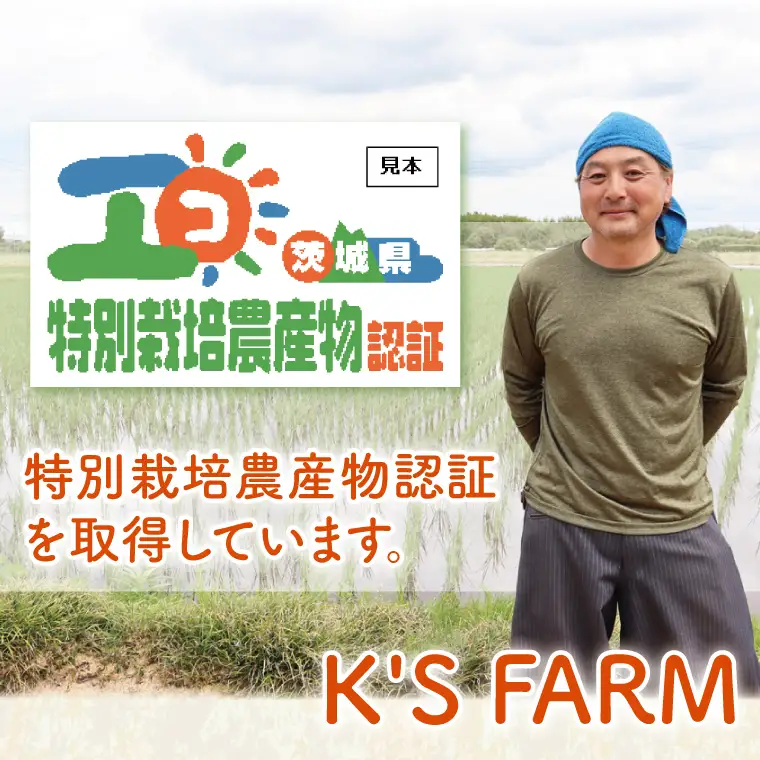 令和7年産 特別栽培農産物認証 コシヒカリ玄米５kg 特栽米 ネオニコフリー 減農薬 減化学肥料 安心 安全 こしひかり 白米 弁当 おにぎり オニギリ 有機肥料 特別栽培米 エコ農産物 茨城県産米(86-04)