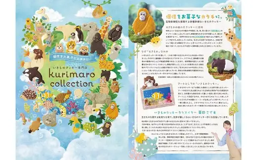 【 卵不使用 】 kurimaro collection ねこクッキーアートギフトセット （ 5枚入 ） お菓子 菓子 おかし おやつ 洋菓子 焼菓子 クッキー アート ギフト 可愛い クッキーアート クリエイター セット プレゼント