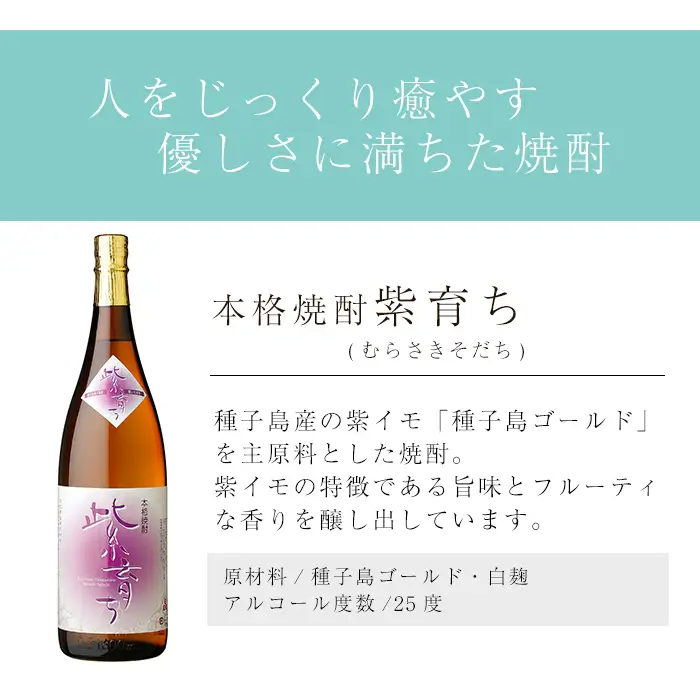 焼酎 セットE（島乃泉・紫育ち） 鹿児島 種子島 芋 一升瓶 お酒 ギフト 四元酒造 【アイショップ西水店】n023-3