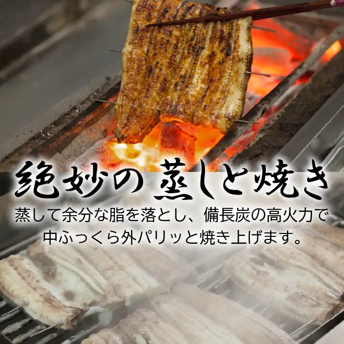 【冷凍】国産 鰻 蒲焼 白焼《各1尾 合計2尾》 300g以上 タレ・うなぎのミニおつまみ付 〜明治37年創業「本多」〜 | 国産 ウナギ 蒲焼 炭火焼 おつまみ タレ 秘伝 （Ab-021）