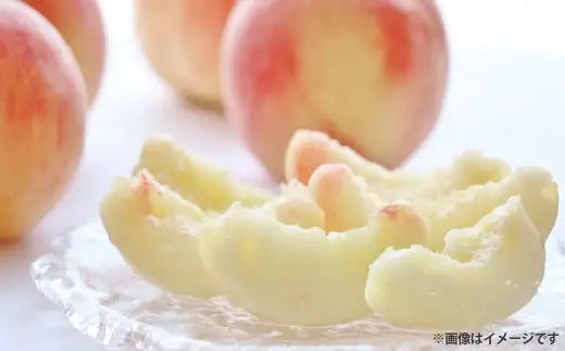 【 ご家庭用 】 岡山白桃 5～7玉 （ 約1.5kg以上 ） 白桃 もも モモ 桃 くだもの 果物 フルーツ 果実 果汁 果肉 甘み 香り 食感 国産 岡山県産 旬 【 2026年6月下旬～8月下旬発送予定 】