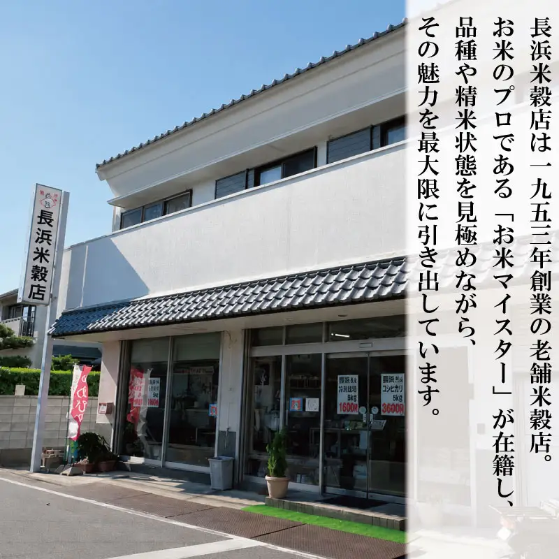 コシヒカリ 5kg 徳島県産 コシヒカリ 令和7年産