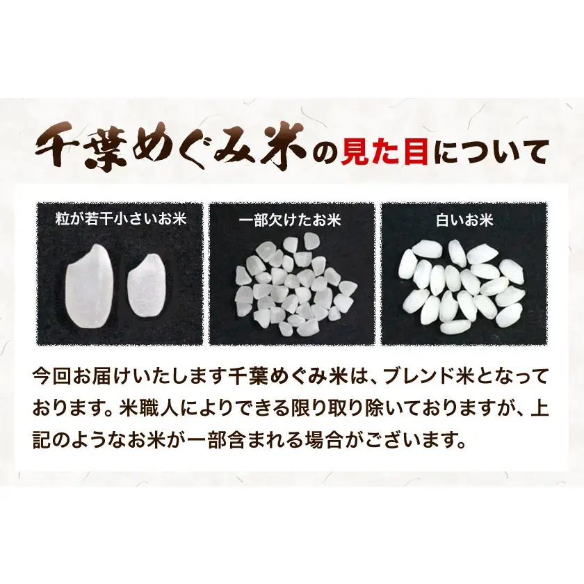 米 精米 千葉めぐみ米 10kg 千葉県産