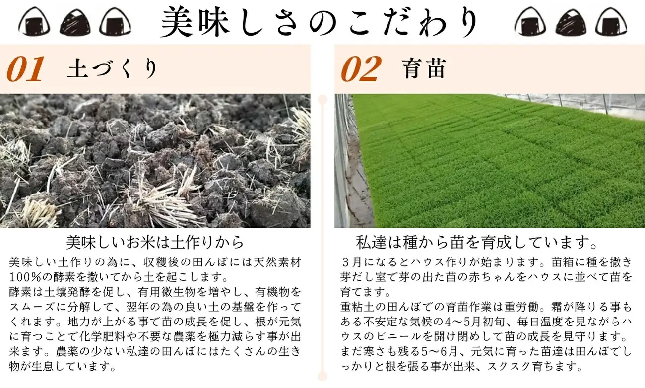 【令和7年産・白米2kg ギフト用】「五郎兵衛さんのお米」 長野県 信州 こしひかり【 五郎兵衛米 白米 精米 お米 おこめ コメ コシヒカリ こしひかり お土産 プレゼント ギフト  お中元にも 佐久市 】