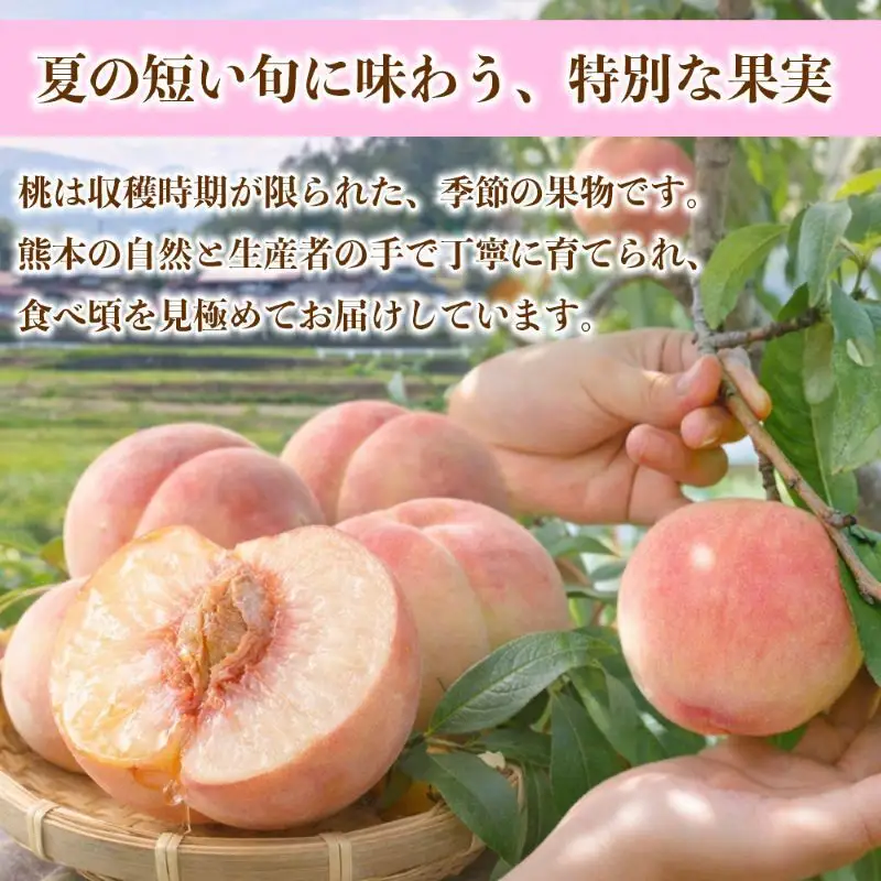 もも 約4kg（10～22玉）【桃 もも モモ 果物 フルーツ デザート 食後 錦町産】※配送不可：離島