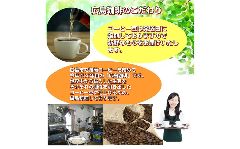 コーヒー王国のドリップバッグ（20袋：200g）