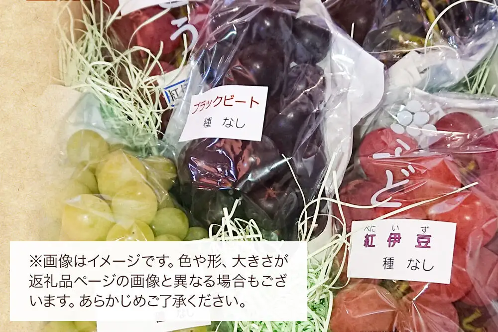 《先行受付》小坂産 ぶどう 種無し大粒・品種おまかせ 3～5房 セット（約2kg）
