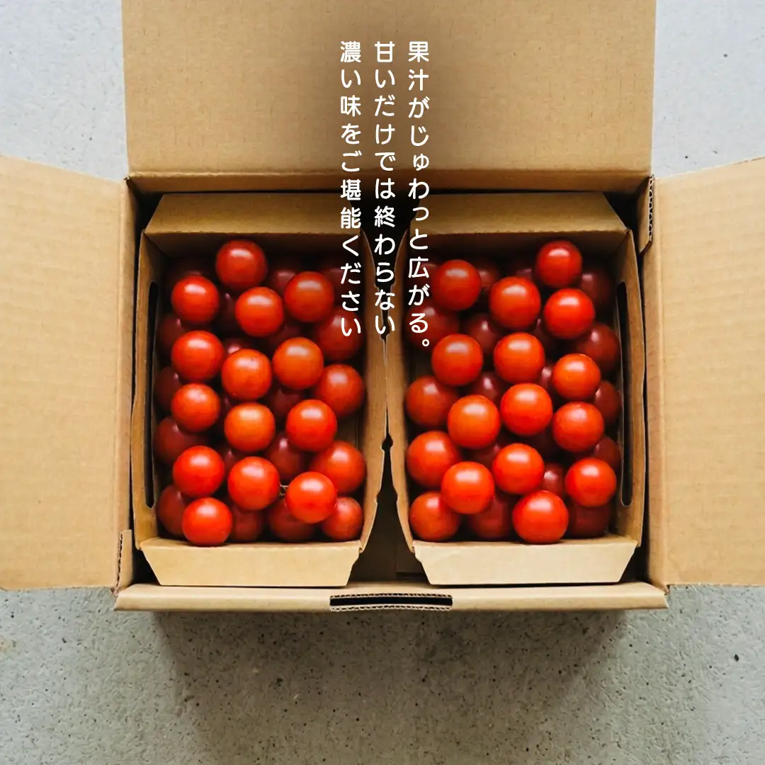 ミニトマト ネネ 1kg (FF002)
