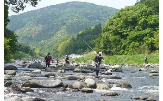 天然狩野川鮎の甘露煮　3本セット　/ 鮎 天然 狩野川 甘露煮 国産 静岡県 伊豆市 狩野川 清流育ち 無添加 手作り ご飯のお供 おつまみ ギフト 郷土料理　013-001