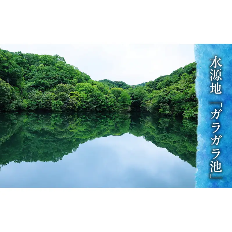 特別栽培米 「 千の光 」　( 精米 )　5kg　米 お米 ごはん 特別栽培 兵庫県 洲本市 淡路島 鮎原塔下