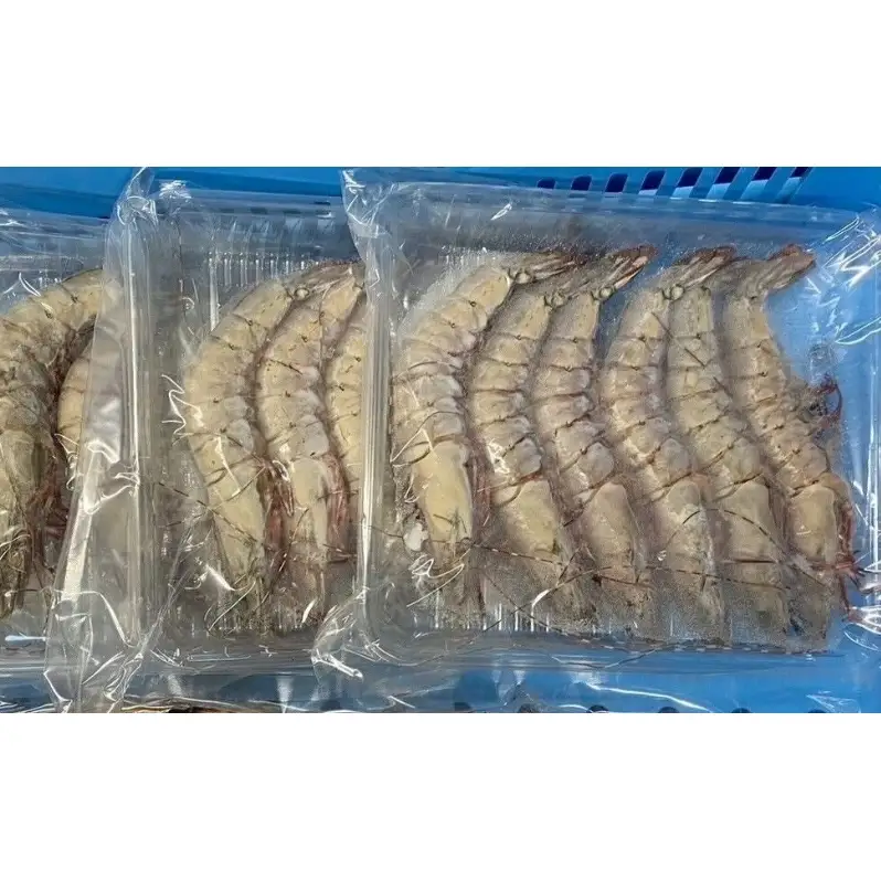活凍結シリーズ　活凍結 足赤エビ 5～8尾×1P エビ えび 海老 魚介 海鮮 高級魚 急速凍結 鮮度保持 真空パック 便利 ギフト 贈答用 兵庫県 洲本市 淡路島