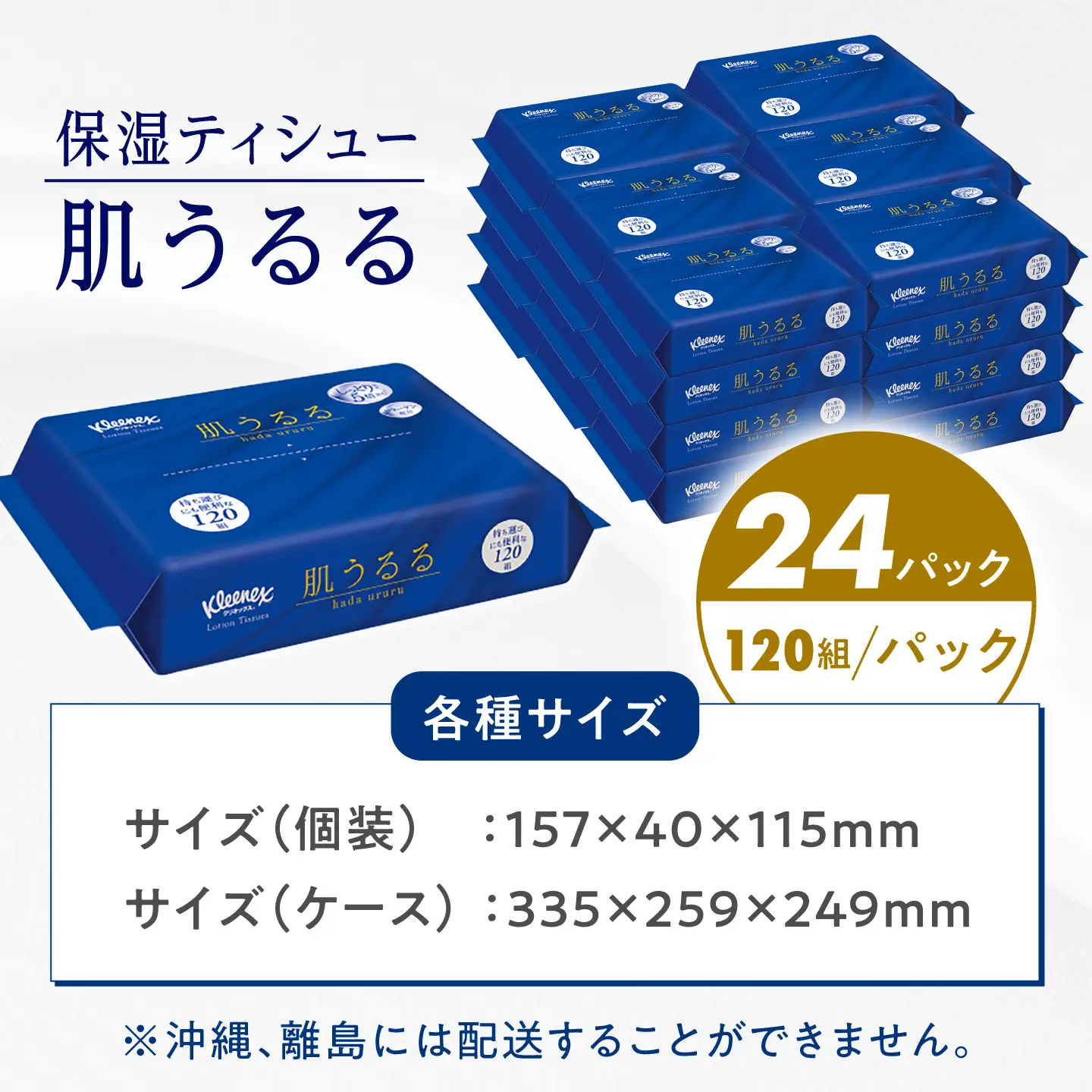 ローションティッシュ クリネックス 肌うるる ソフトパック 120組(240枚)×24パック 【日本製紙クレシア株式会社】 開成町[BDAM059-1]