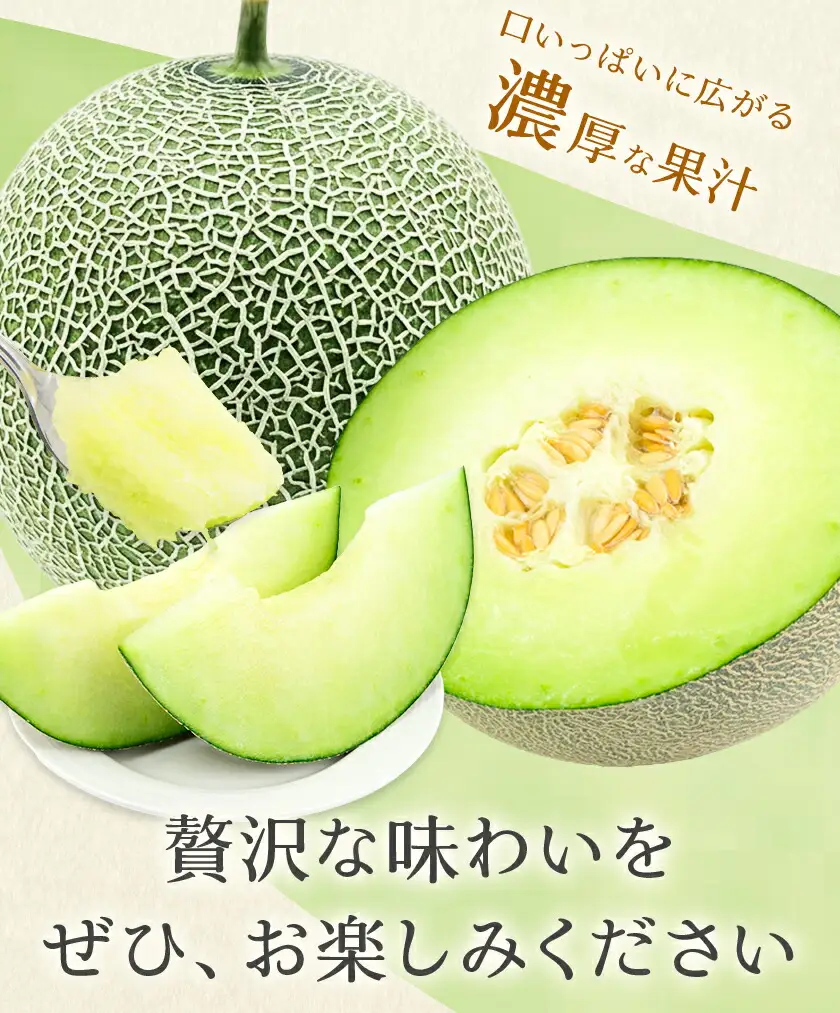 肥後グリーンメロン 1玉 熊本 株式会社エフビーネット《4月上旬-7月上旬頃出荷》