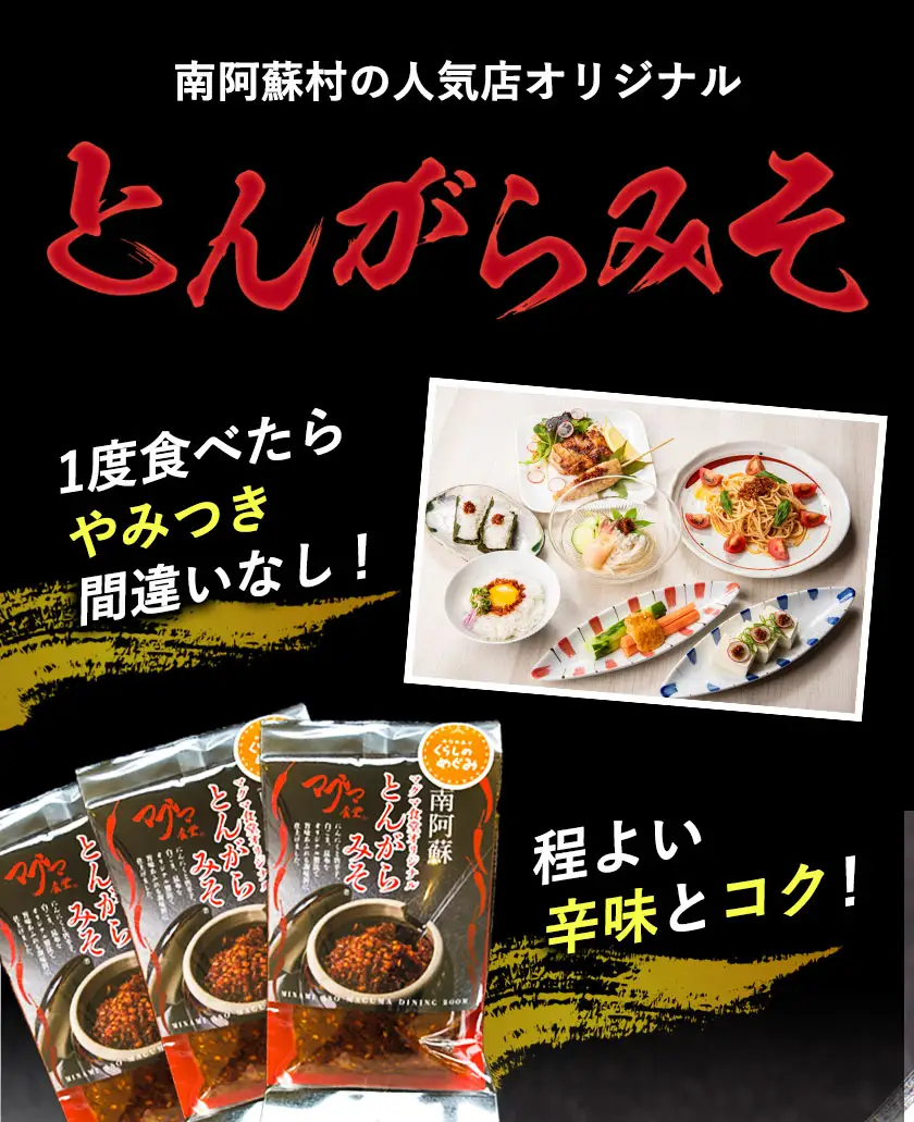 とんがらみそ 3個入り《30日以内に出荷予定(土日祝除く)》熊本県 南阿蘇村 マグマ食堂 ラーメン店 人気店オリジナル 調味料 ソース ドレッシング 手土産 ピリ辛