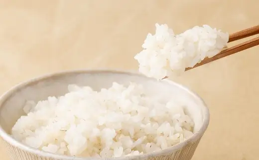 【はくばく】白米好きのためのもち麦 500g×6袋 合計3kg もち麦 穀物 食物繊維 ご飯 ごはん 山梨県 中央市 国産 もっちり ぷちぷち 食感 はくばく