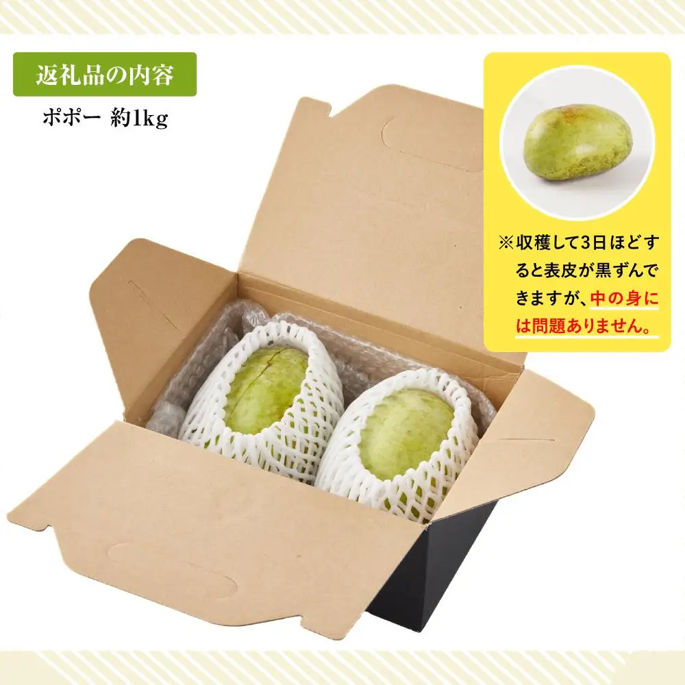 【2026年9月中旬頃より発送 受付締切9月20日】ポポー 約1kg【受取日事前打合せ可能な方限定】【配送不可：離島】幻の果実 レア フルーツ ポポー 健康 美容 美肌 ファーム池の沢 静岡市◇