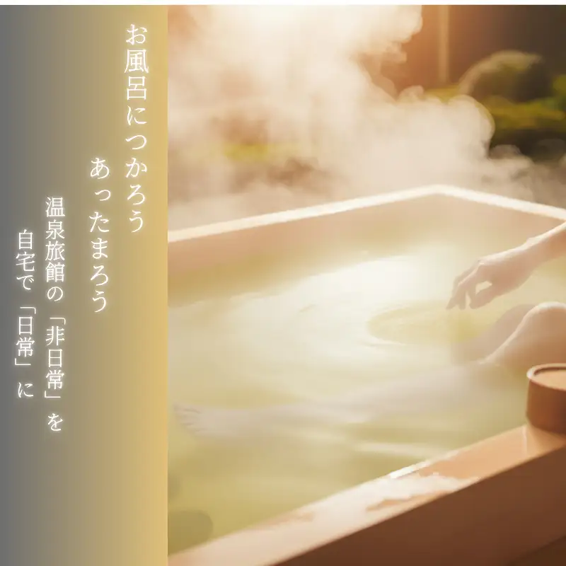 別府の湯 詰め替え徳用箱 2,300g × 2袋 C-60 湯の花エキス 入浴剤 別府温泉 徳用 お得 大容量 ヤングビーナス お風呂 薬用 10回分増量 湯の花 湯の花エキス 冷え症 入浴剤 別府温泉 ヤングビーナス お風呂 薬用 温泉気分 温浴 肌 父の日ギフト 岐阜県 坂祝町 F6M-379