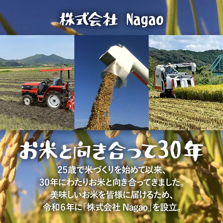 米  無洗米 令和8年産 元気つくし 10kg  米 