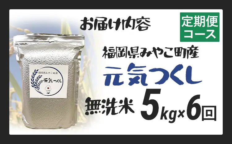 米 定期便 令和8年産 無洗米 元気つくし 5kg 6回  米 