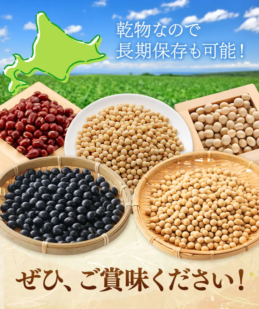 本別 豆 セット 各500g 5種類 2.5kg 特定非営利活動法人 銀河ほんべつ《30日以内に出荷予定(土日祝除く)》大豆 黒豆 小豆 ゆきしずか 黄大豆