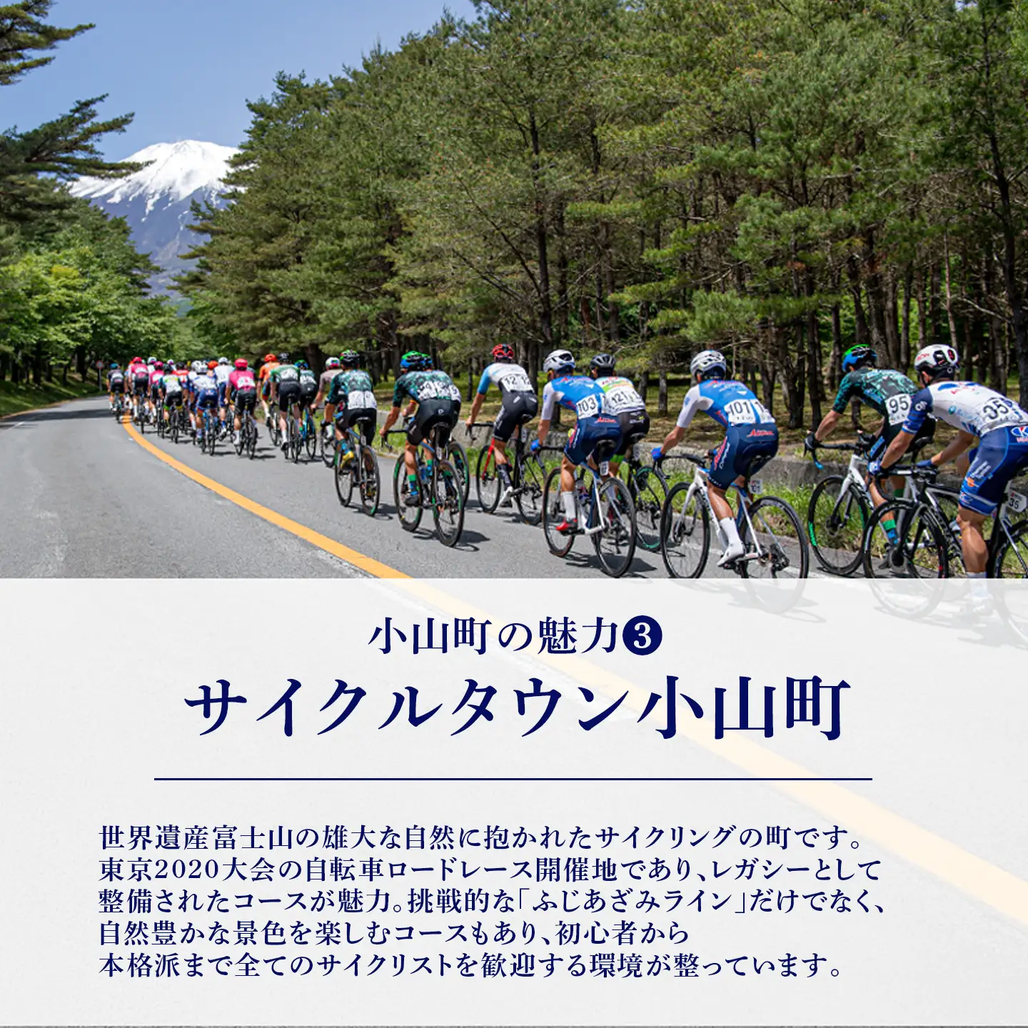 【返礼品なし】小山町への応援寄附 1千円