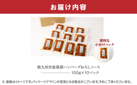 かごしま黒豚ハンバーグおろしソース10個【配送不可地域：離島】【1185888】