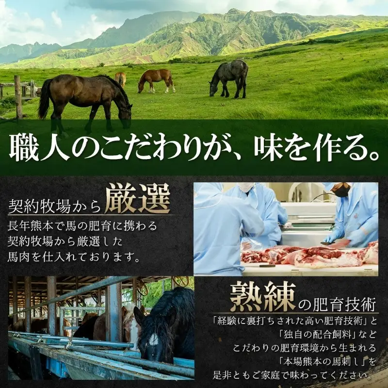【阿蘇牧場】国産 熊本馬刺し 4種 280g 定番 上赤身 馬ユッケ フタエゴ コウネ（タテガミ）希少部位 バラエティ 小分け 醤油 専用たれ付 真空パック 馬肉 赤身 贈答 ギフト ご褒美 酒の肴 チルド 冷凍配送
