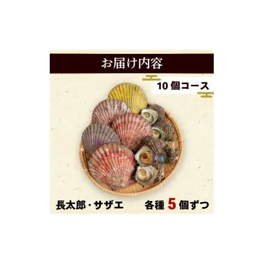 サザエ 長太郎 10個 セット 