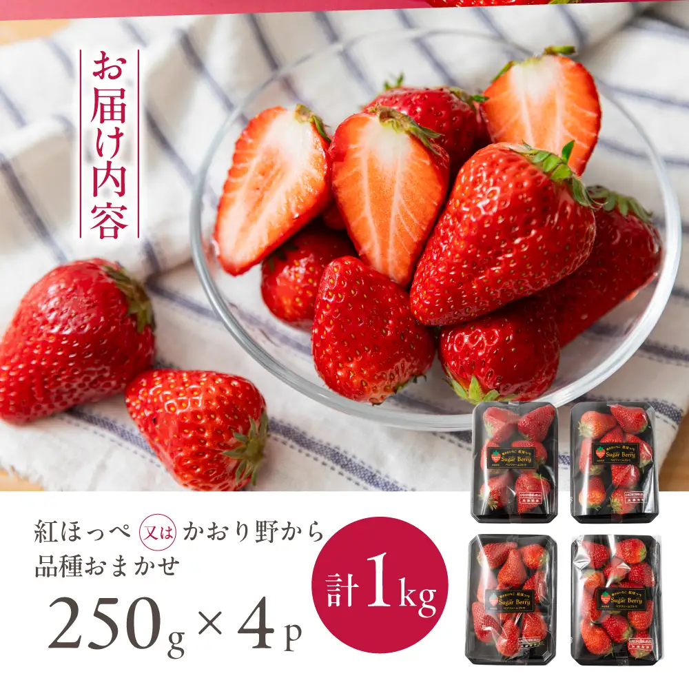 【先行予約】《2027年1月～発送》令和9年産 品種おまかせ いちご 紅ほっぺ かおり野 1kg (250g × 4p) サイズ 不揃い 農園直送 生食 ケーキ [mt2205]｜フルーツ 果物 苺 イチゴ 子ども 小分け 簡易梱包 家庭用 産地直送 岐阜県 本巣市 15000円