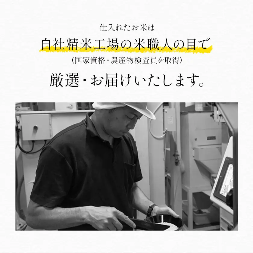 【12ヶ月定期便】令和7年産 米 無洗米 ひのひかりこしひかり 食べ比べ 20kg《お申込み翌月から出荷》 白米 精米 無洗米 熊本県産(南阿蘇村産含む) 単一原料米 南阿蘇村 ひの こし 送料無料 熊本県 SDGs 米 コメ こめ 国産 定期便