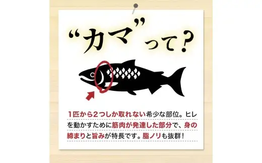 【 訳あり 】 北洋天然紅鮭カマ 500g × 2袋 1.0kg 天然紅鮭 天然 紅鮭 鮭 さけ サケ 魚類 魚 魚介 魚介類 海鮮 冷凍 北洋天然紅鮭 カマ 酒肴 晩酌 おかず つまみ 希少 希少部位