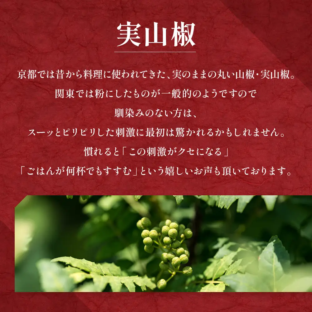 【はれま】チリメン山椒 小分け分封タイプ60g(6g×10袋)｜京都 老舗 ちりめん山椒 人気