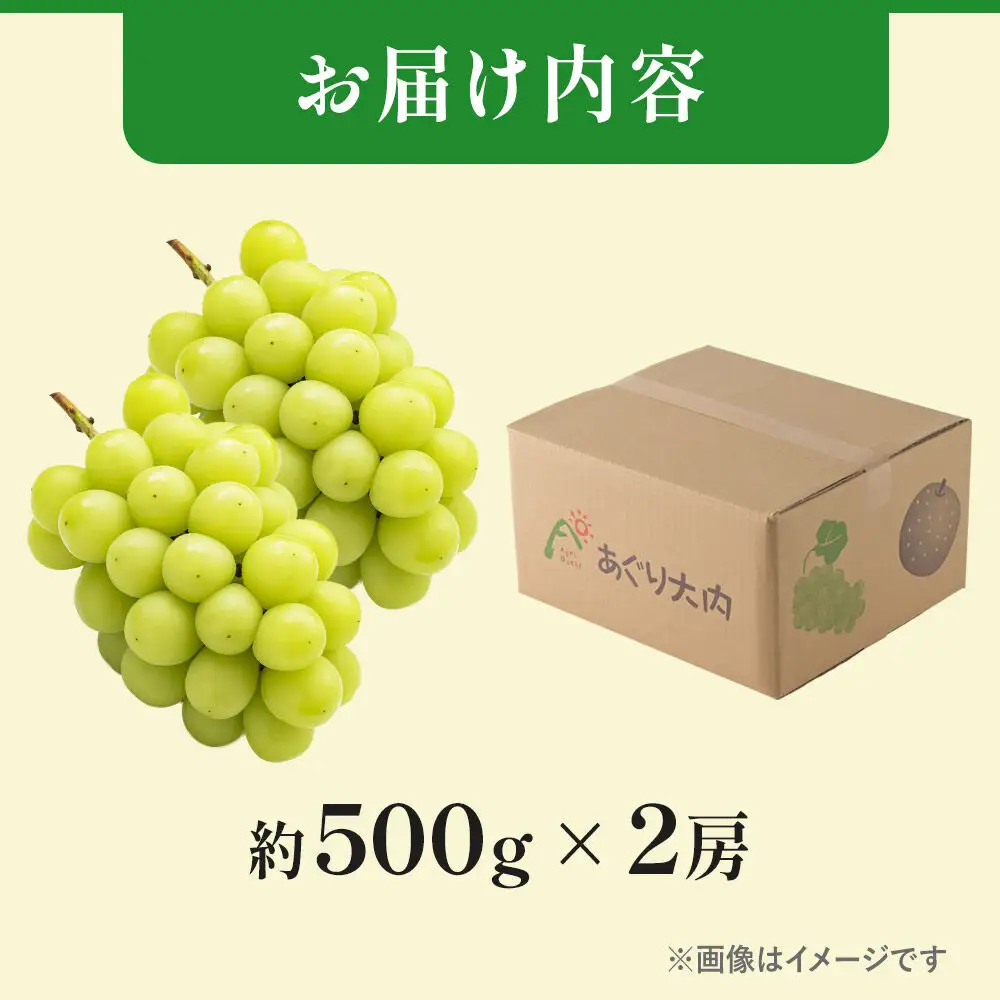 《先行受付》シャインマスカット【社員マスカット】約500g×2房 1kg