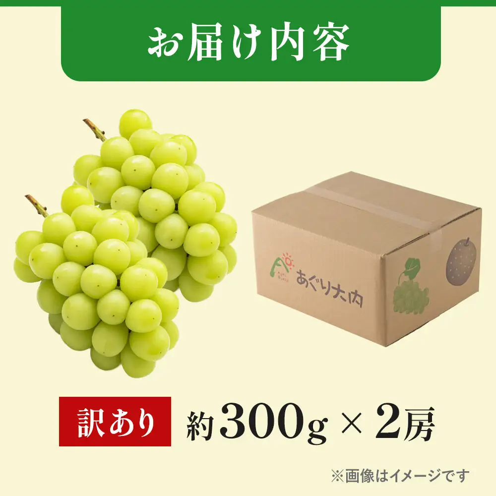 《先行受付》【訳あり】シャインマスカット【社員マスカット】約300g×2房 約600g