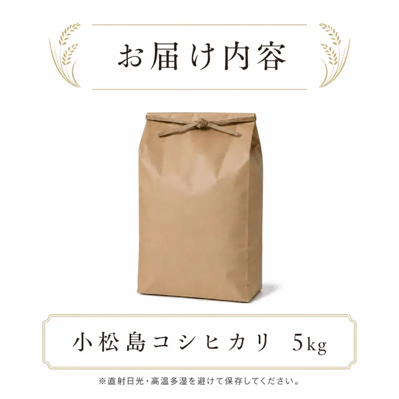 令和7年産 コシヒカリ 5kg 白米 米 数量 限定 こしひかり 5キロ 米5kg おにぎり