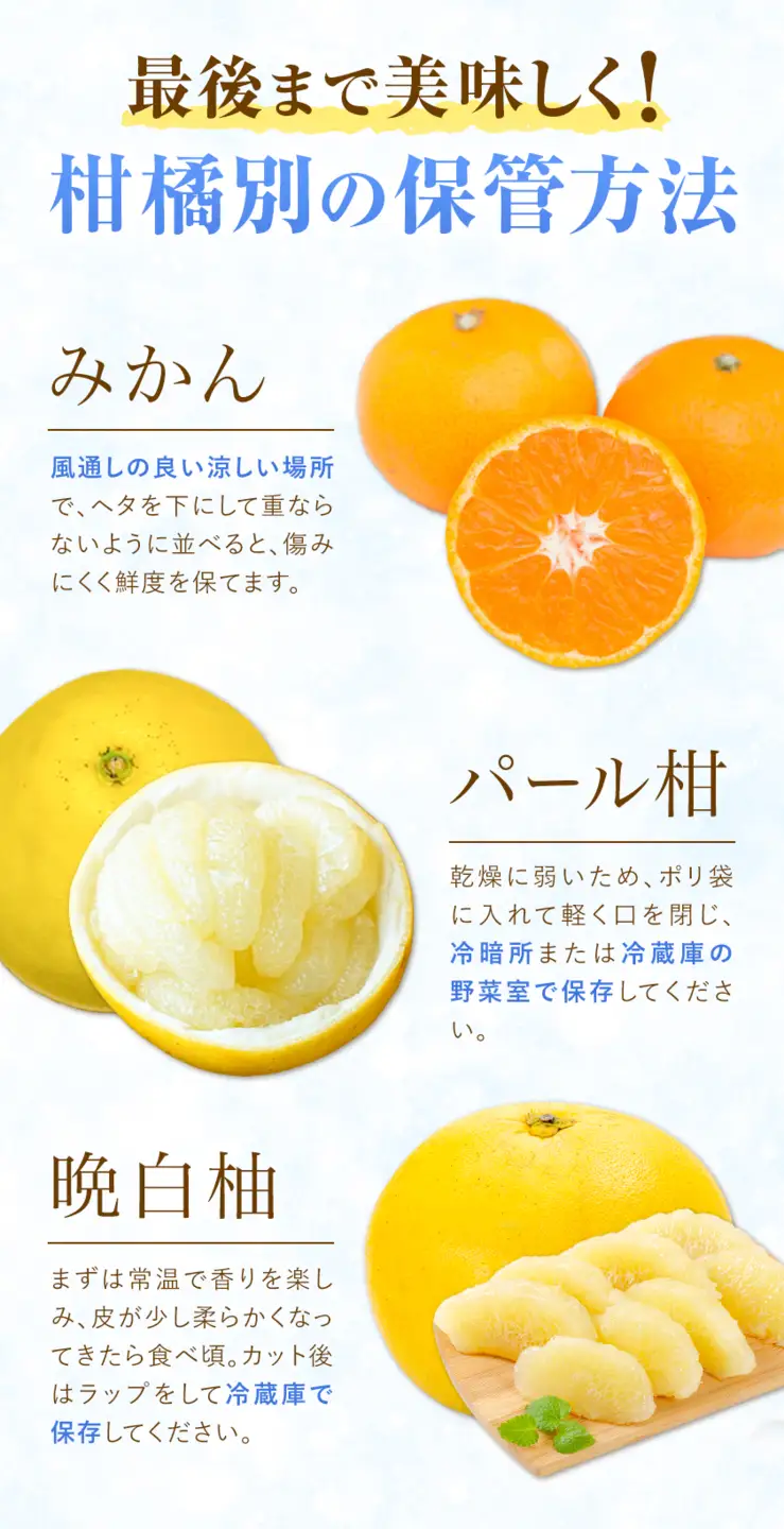旬の柑橘定期便 山本果樹園 旬のみかん 約5kg パール柑 約5kg 晩白柚 2