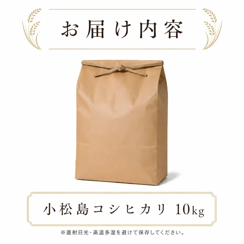 令和7年産 コシヒカリ 10kg 白米 米 数量 限定 こしひかり 10キロ 米10kg 小松島市
