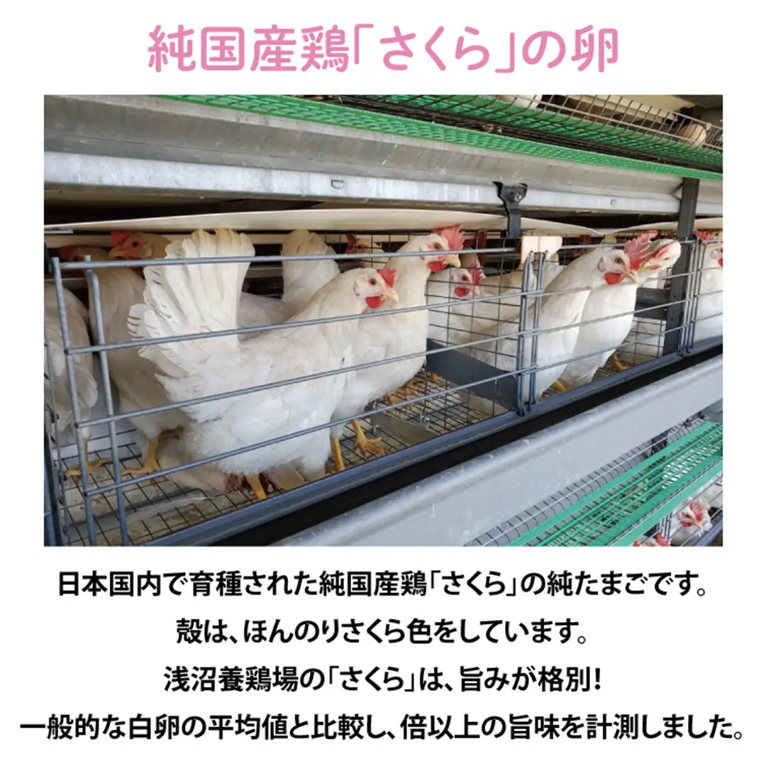 純国産鶏【さくら】純たまご 50個入り 破損保証5個を含む (AJ035)
