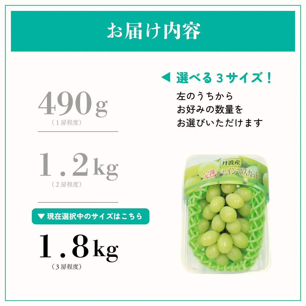 [9月上旬以降順次発送] シャインマスカット 糖度18度以上 完熟シャインマスカット 1.8kg 丹波 ぶどう
