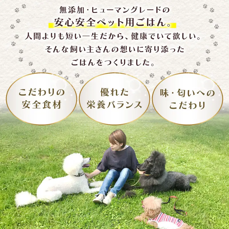 ペットフード イワシと国産野菜のコトコト煮 130g×3個 犬 猫