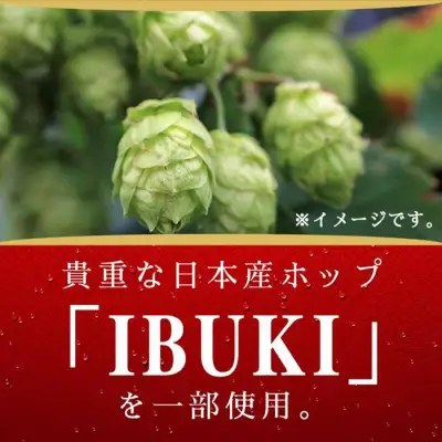 【父の日当日にお届け】キリンビール スプリングバレー 豊潤ラガー 496 350ml×48本 横浜工場製 クラフトビール AFA0002-F