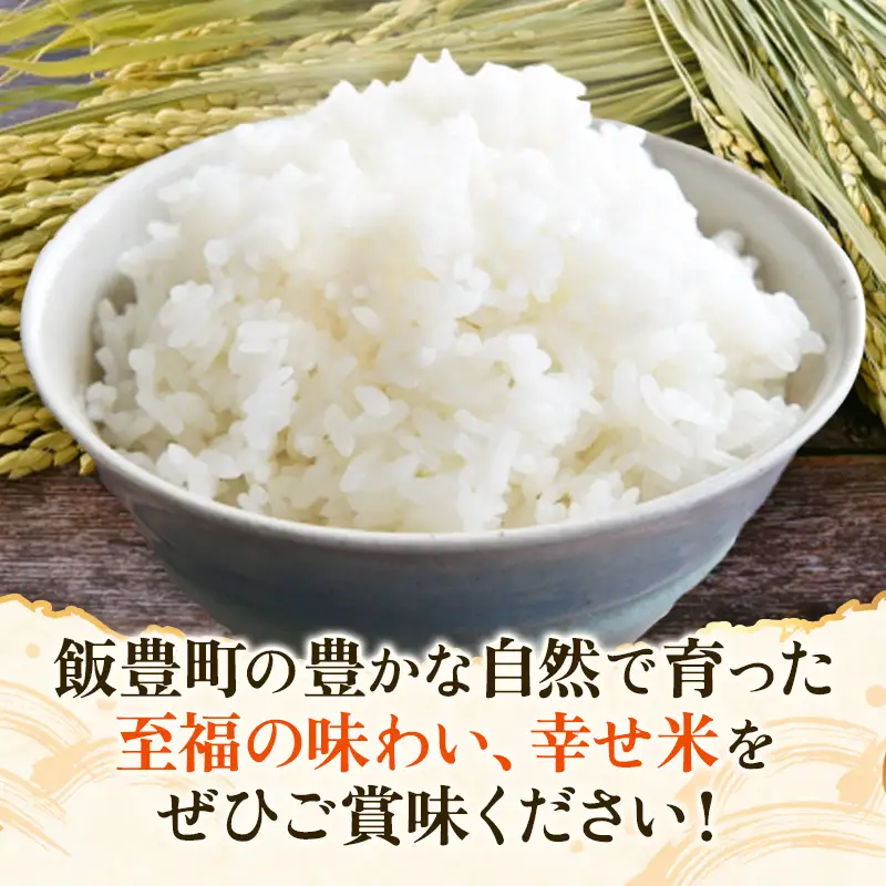 至福の味わい、幸せ米 つや姫5kg - R8年産新米予約 白米 米 ごはん 山形県 飯豊町産