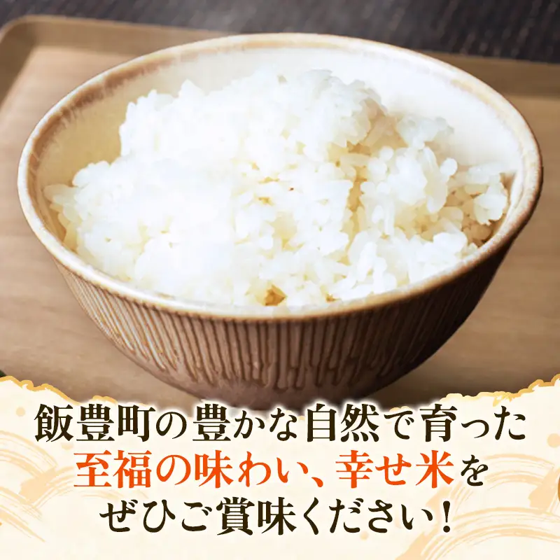 至福の味わい、幸せ米 はえぬき5kg×2 - R8年産新米予約 白米 米 ごはん 山形県 飯豊町産