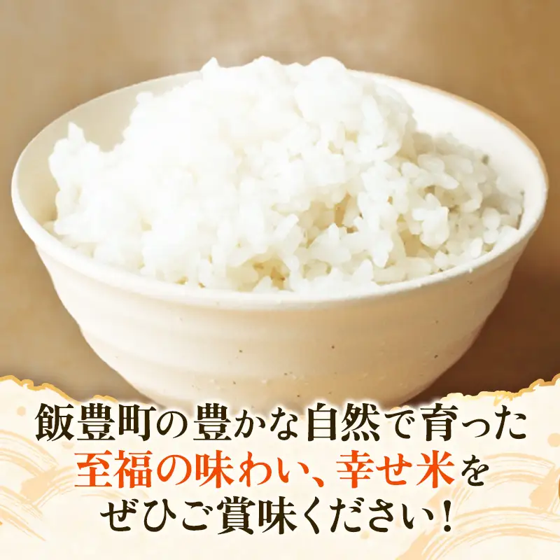 至福の味わい、幸せ米 あきたこまち5kg×2 - R8年産新米予約 白米 米 ごはん 山形県 飯豊町産