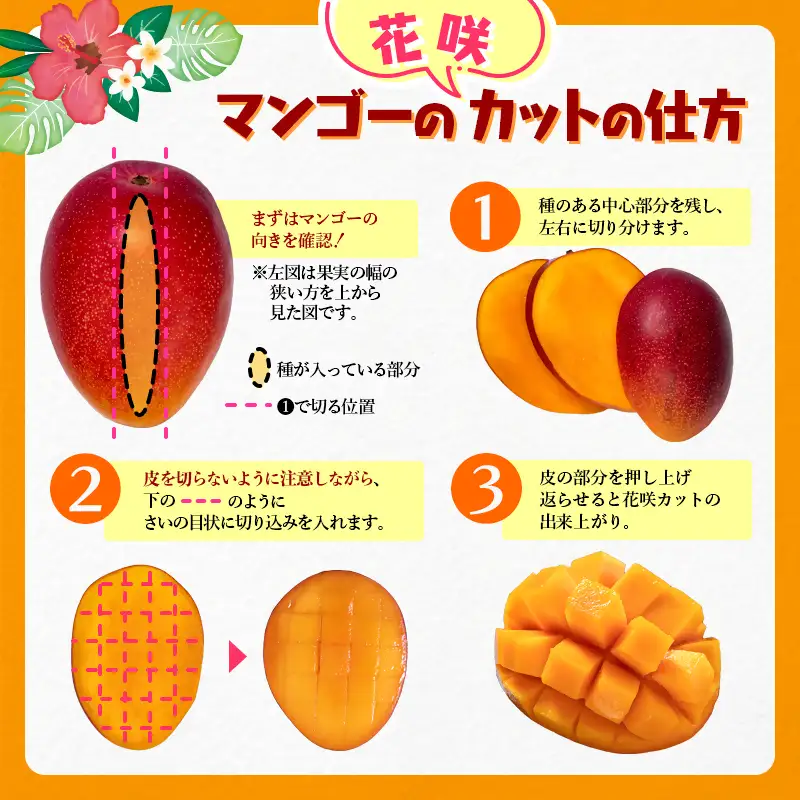 フルーツ専門店『南国フルーツ』厳選宮崎完熟マンゴー2玉(計500g)宮崎県西都市産＜73-2a＞