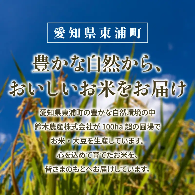 東浦町産　こしひかり　約10kg（5kg×2袋）│米 お米 コメ 白米 精米 新米 愛知県産